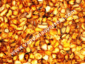 Yellow Agate Backlit